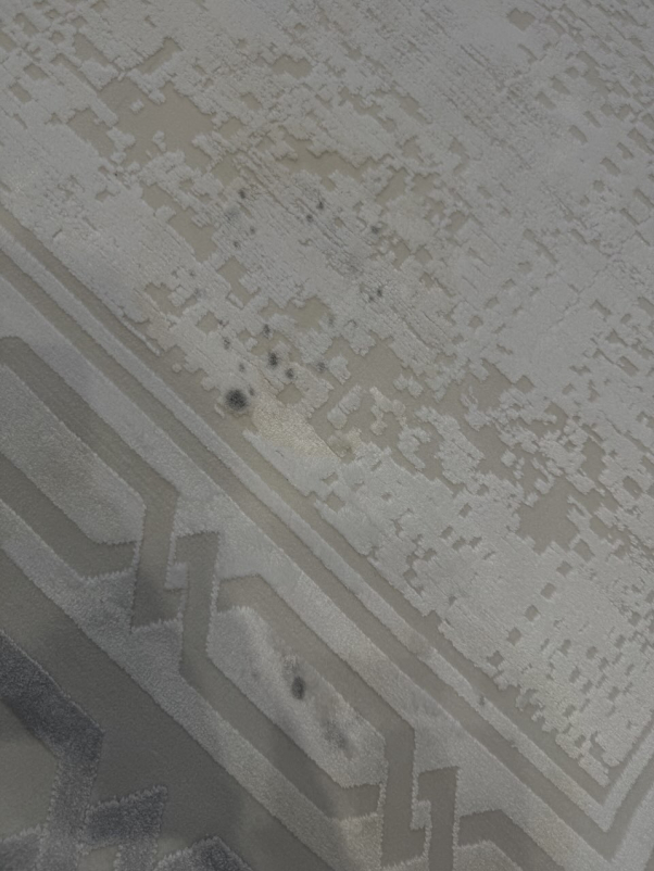 Ковер У001 - WHITE / BEIGE - Прямоугольник
