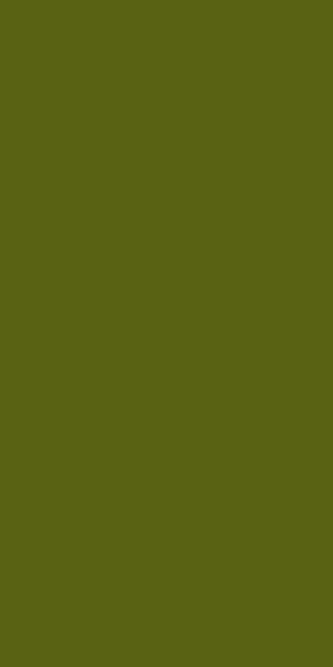 Ковер s600 - GREEN 2 - Дорожка