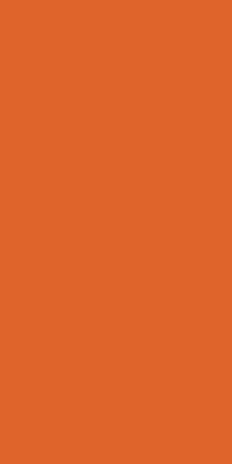 Ковер s600 - ORANGE - Дорожка