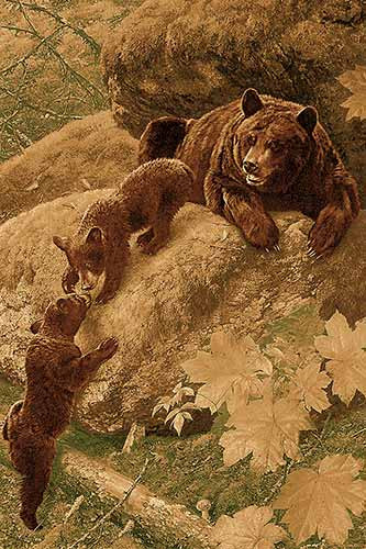Ковер z906 - BROWN - Прямоугольник