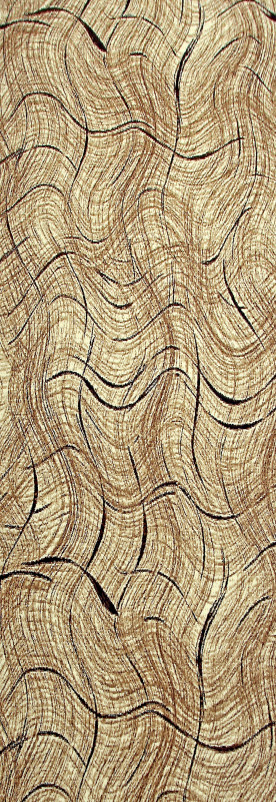 Ковер D495 - BEIGE - Дорожка