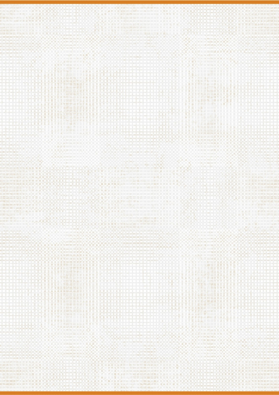 Ковер 00955 - BEIGE / WHITE - Прямоугольник