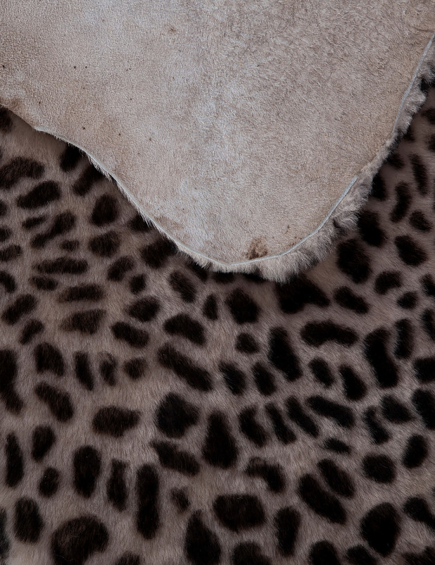 Ковер LEOPARD - BEIGE 2 - Прямоугольник
