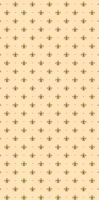 Ковер P011 - CREAM - Дорожка
