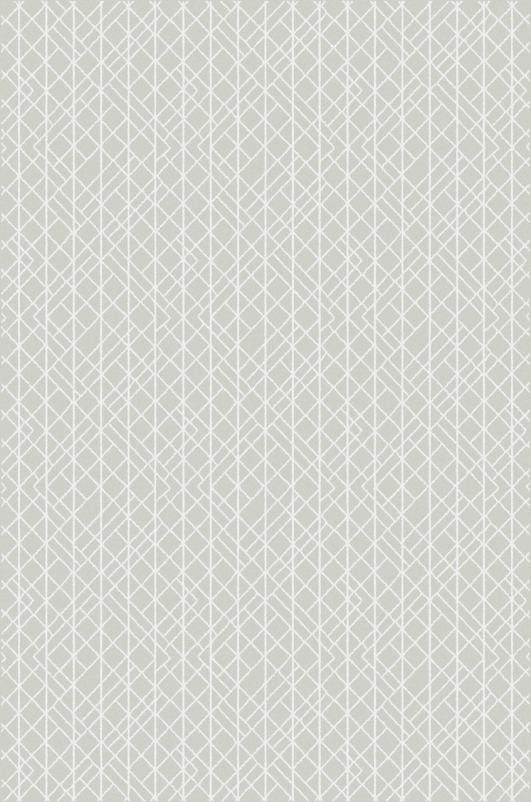 Ковер F601 - GRAY - Прямоугольник