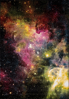 C008 - MULTICOLOR