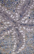 Ковер 18800 - 953 GREY BLUE - Прямоугольник - коллекция ARMODIES - фото 2