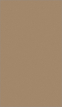 T600 - DARK BEIGE