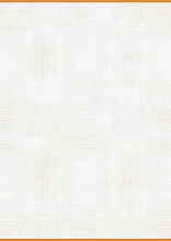 00955 - BEIGE / WHITE