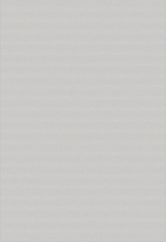 D950 - GRAY-CREAM