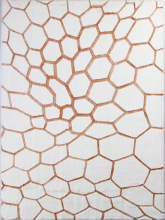 PX4003 - CREAM / TERRA