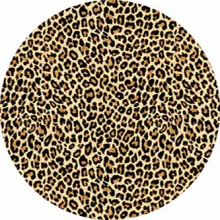 d108 - BEIGE